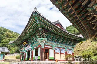 비암사(세종)