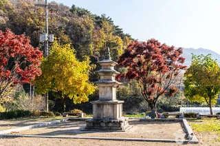단양 향산리 삼층석탑