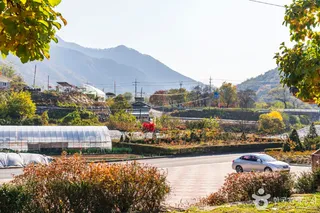 단양 향산리 삼층석탑
