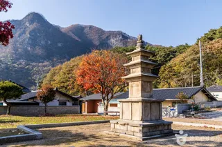 단양 향산리 삼층석탑