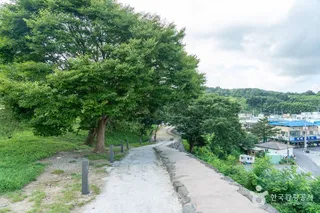 보령 충청수영성