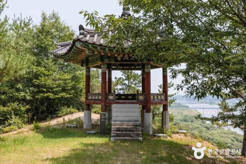 천정대