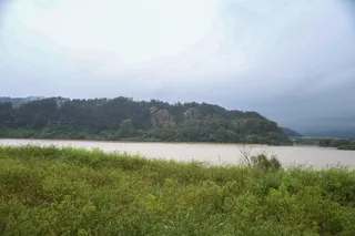 천정대