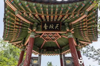 천정대