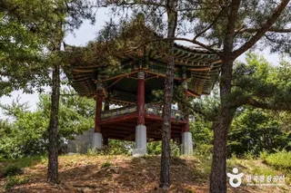 천정대