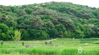 청주 상당산성