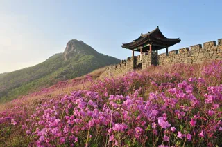 황매산(산청)