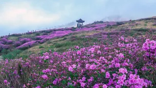 황매산(산청)
