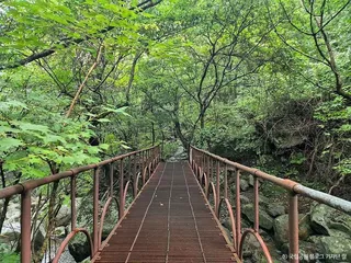 한신계곡
