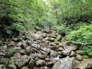 한신계곡