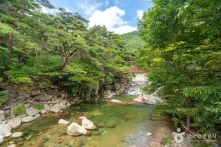 홍류동계곡