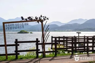주남저수지 철새도래지