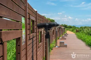 주남저수지 철새도래지
