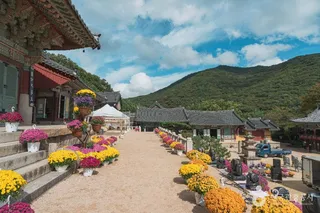 범어사(부산)