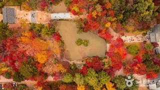 경주 불국사 [유네스코 세계유산]