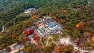 경주 불국사 [유네스코 세계유산]