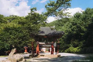 고운사(의성)