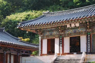 고운사(의성)