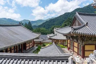 해인사(합천)