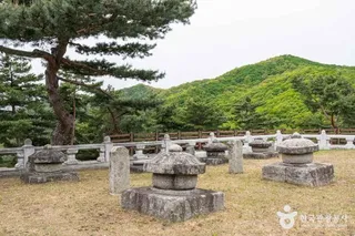 성주 세종대왕자 태실