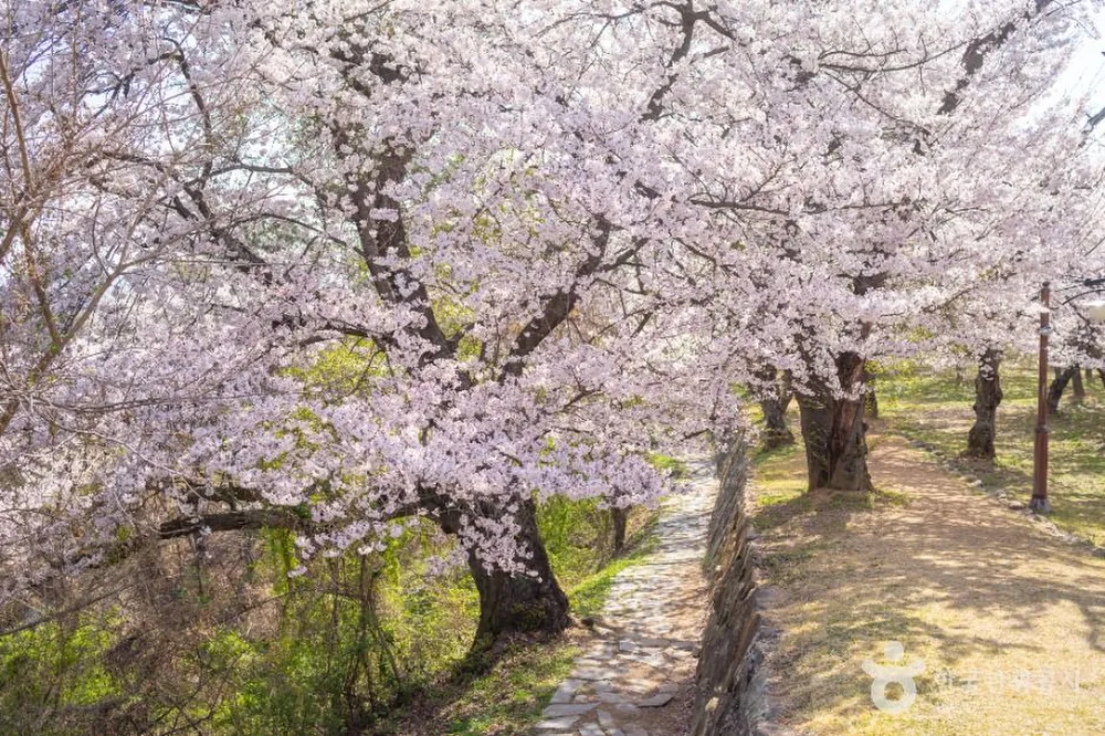 사천선진리성