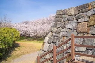사천선진리성