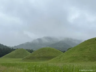 경주 무열왕릉·태종무열왕릉비