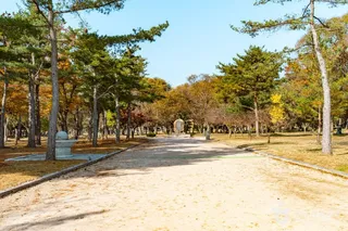 경주 오릉