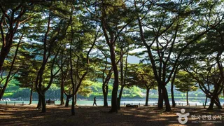 하동송림공원