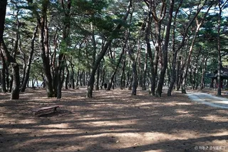하동송림공원