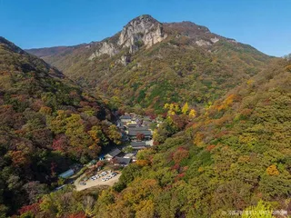 백암산(장성)