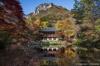 백암산(장성)
