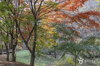추월산
