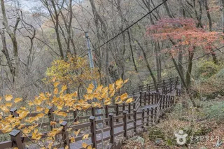 추월산