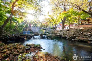 도솔계곡(선운산)