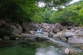 피아골계곡