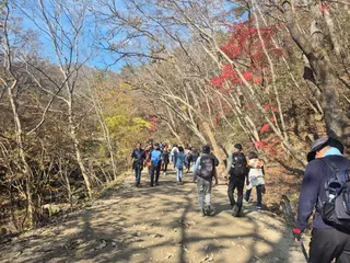 선암사계곡