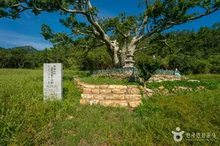 흑산도
