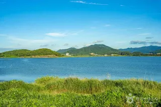 진도