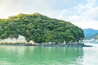 주도