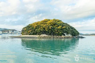 주도
