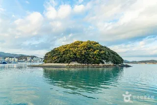 주도