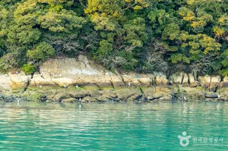 주도