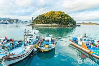 주도