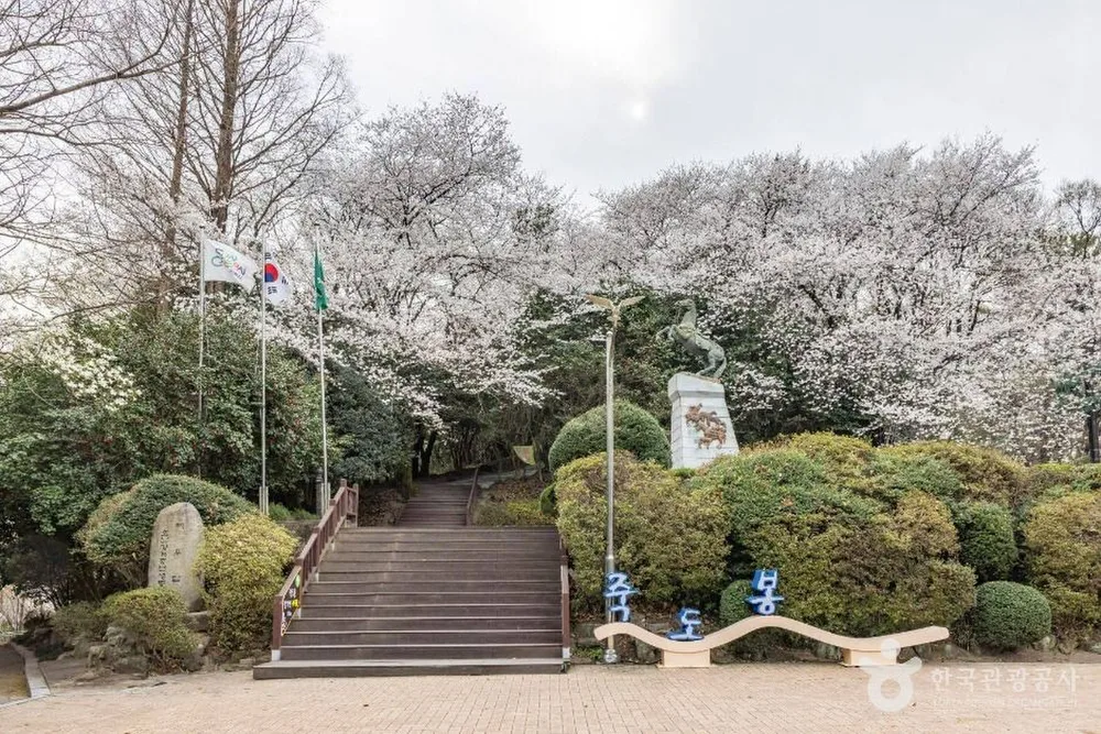 죽도봉공원