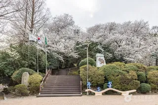 죽도봉공원