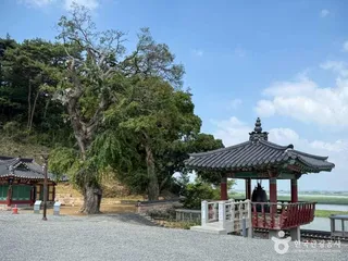 망해사(김제)