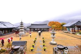 원효사(광주)