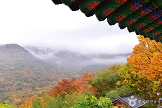 원효사(광주)