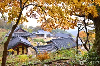 원효사(광주)